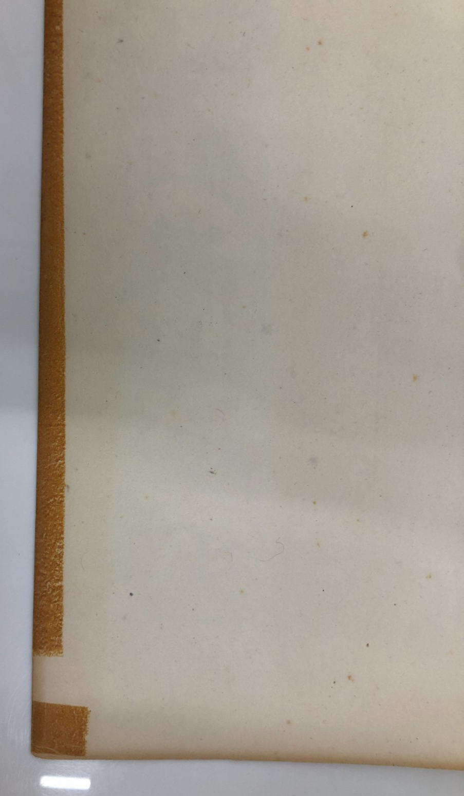 Image #21
