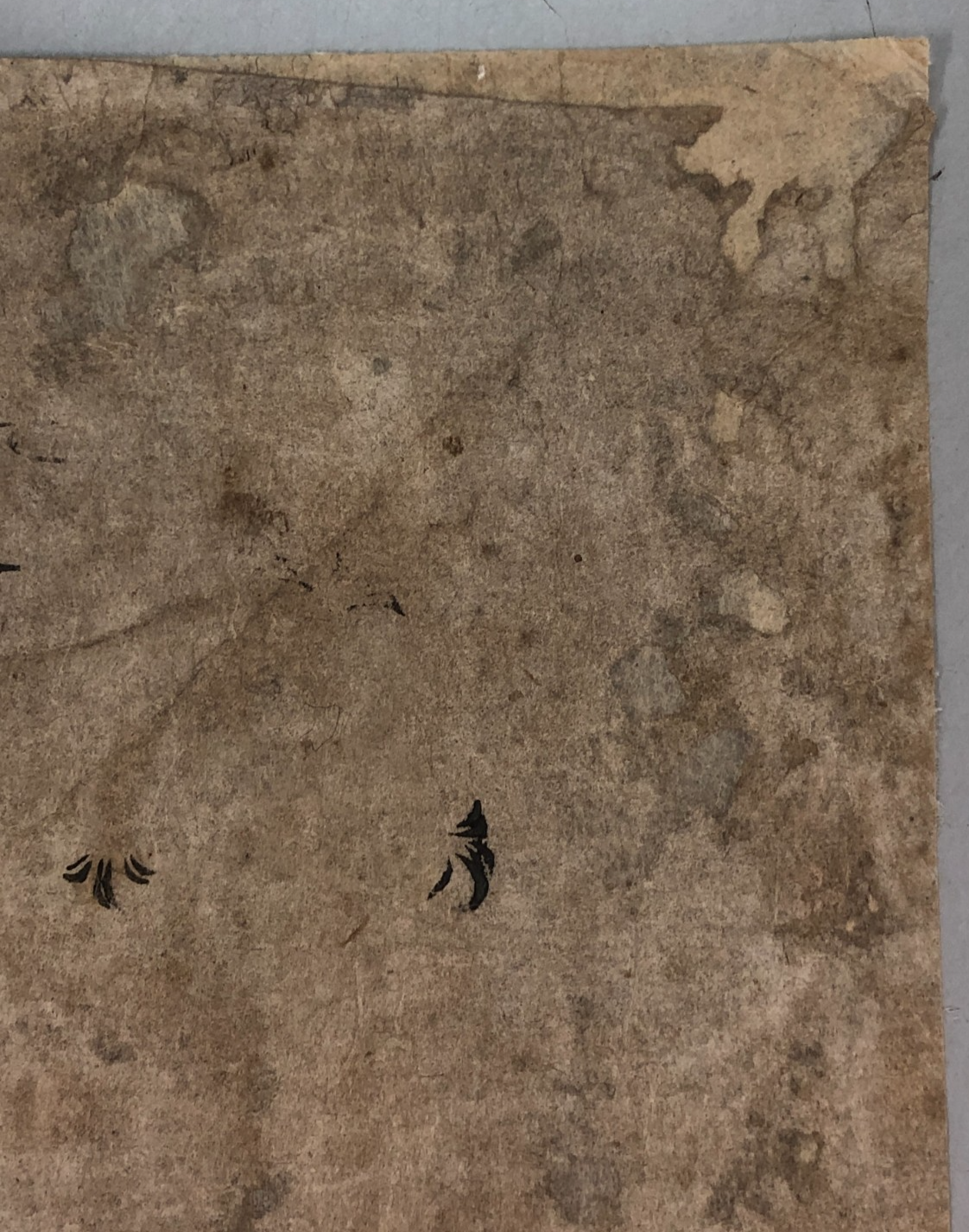 Image #10