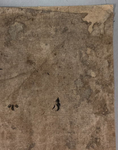 Image #10