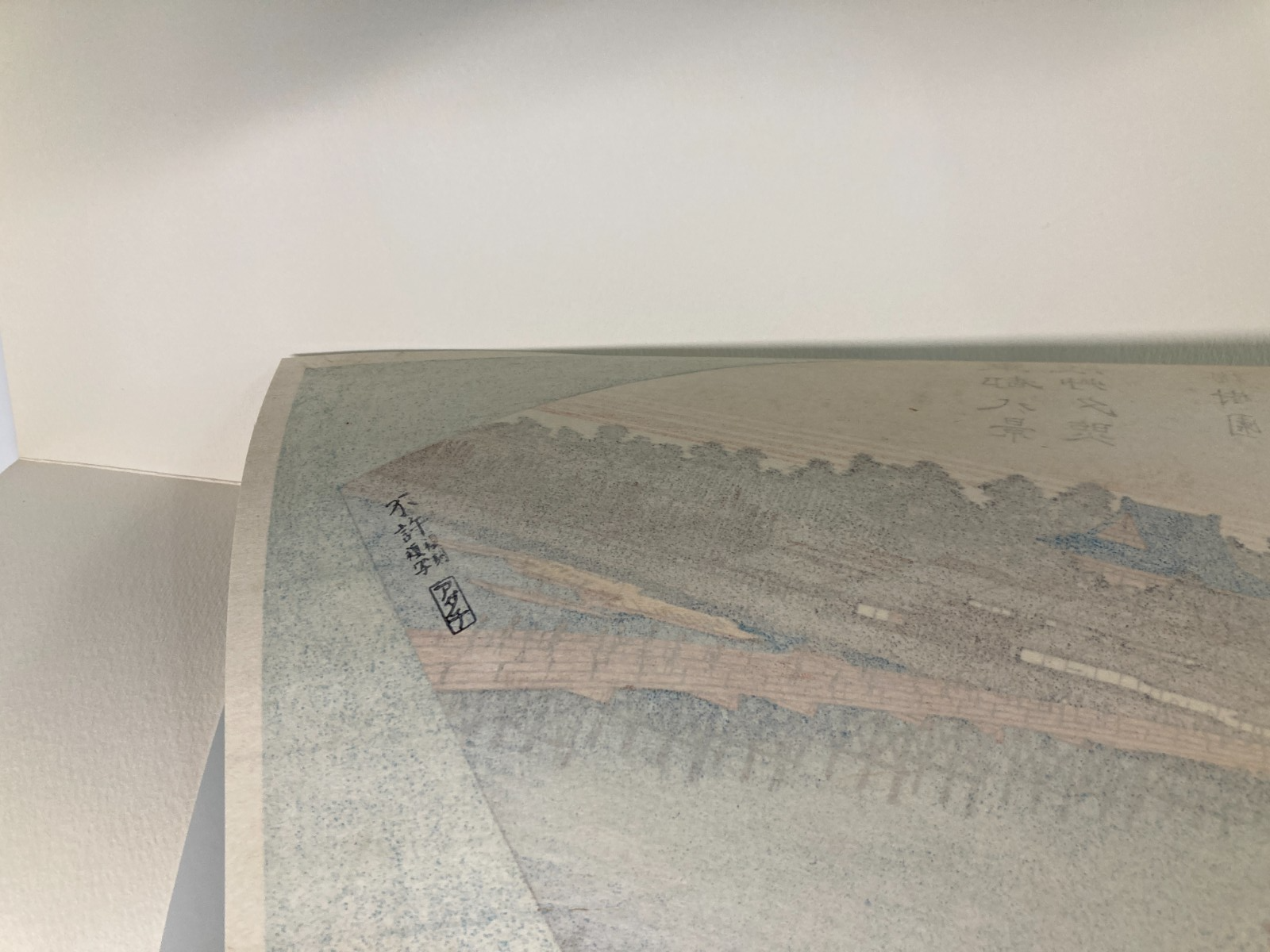Image #12