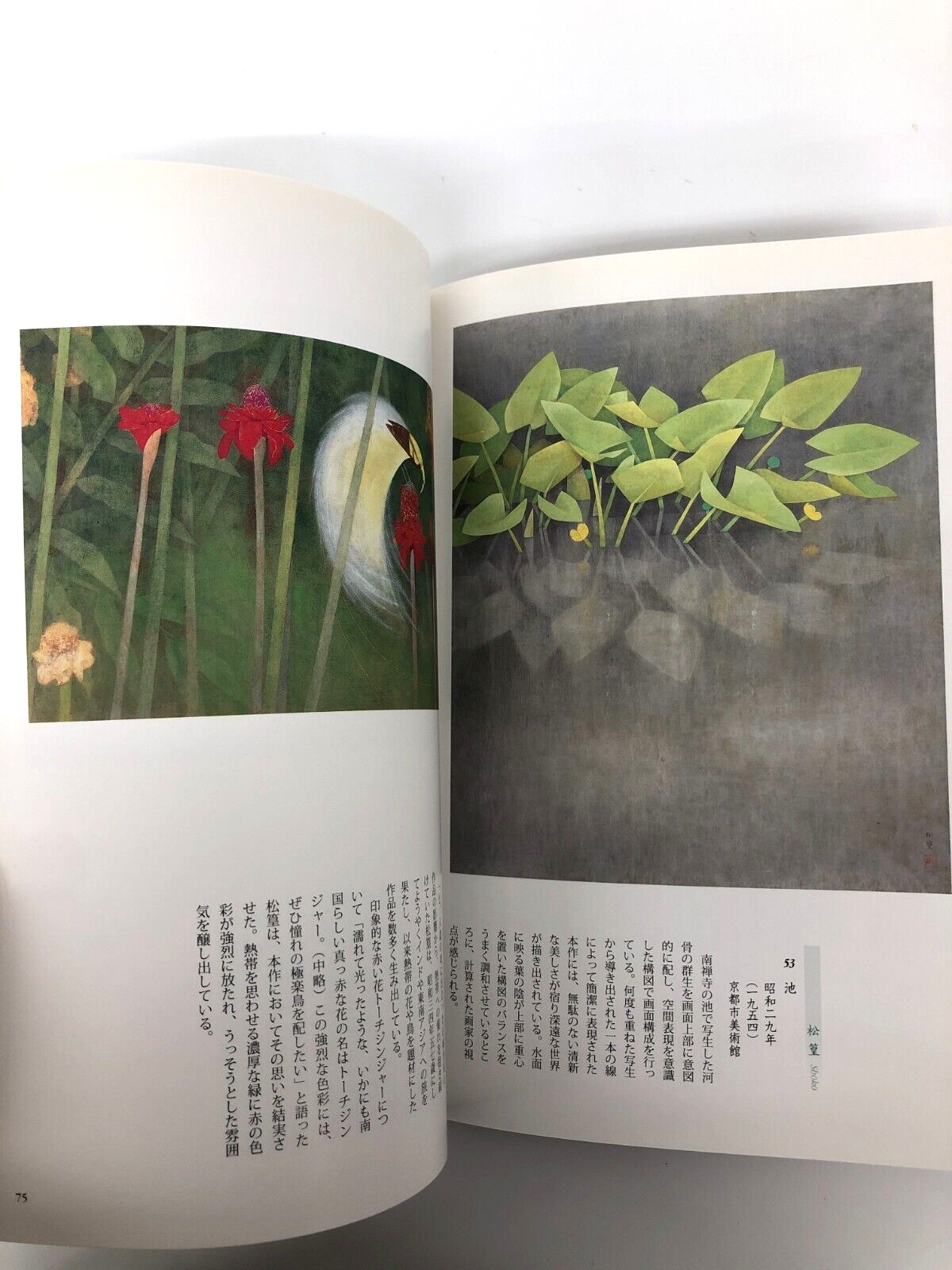 Image #5