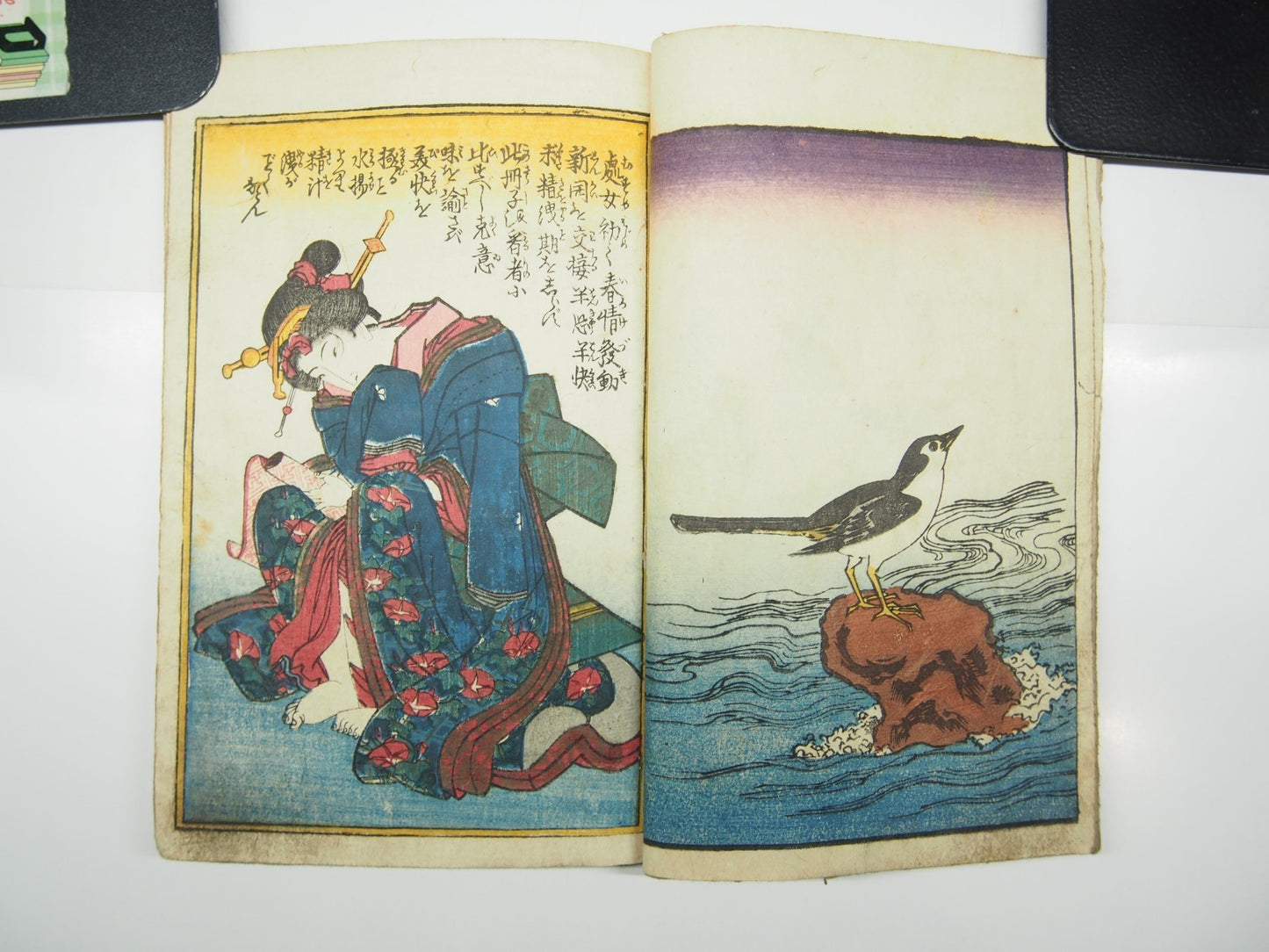 Image #7
