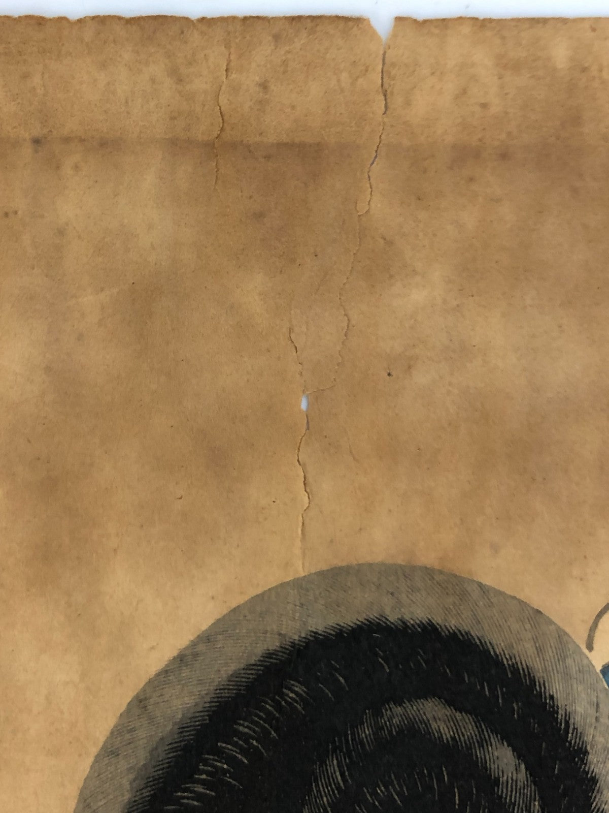 Image #12
