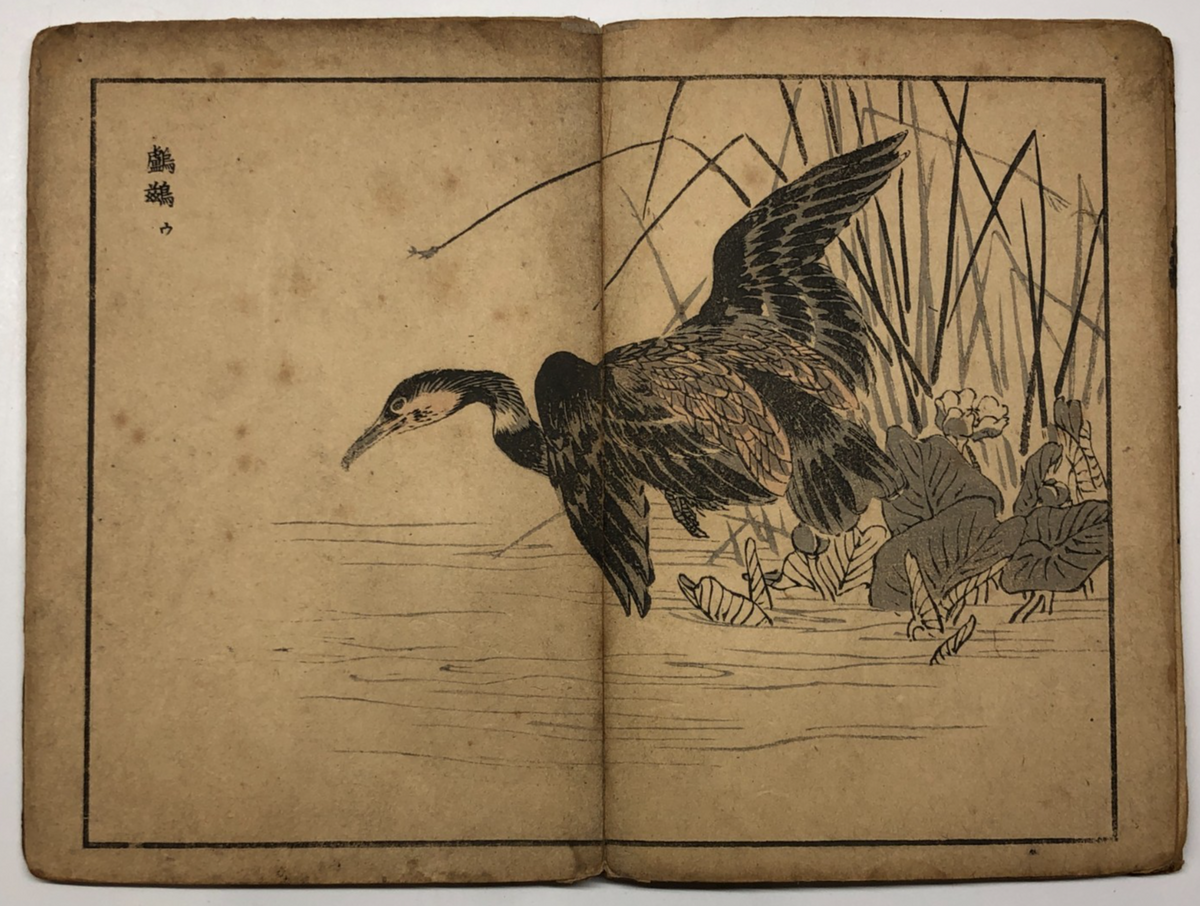 Image #14