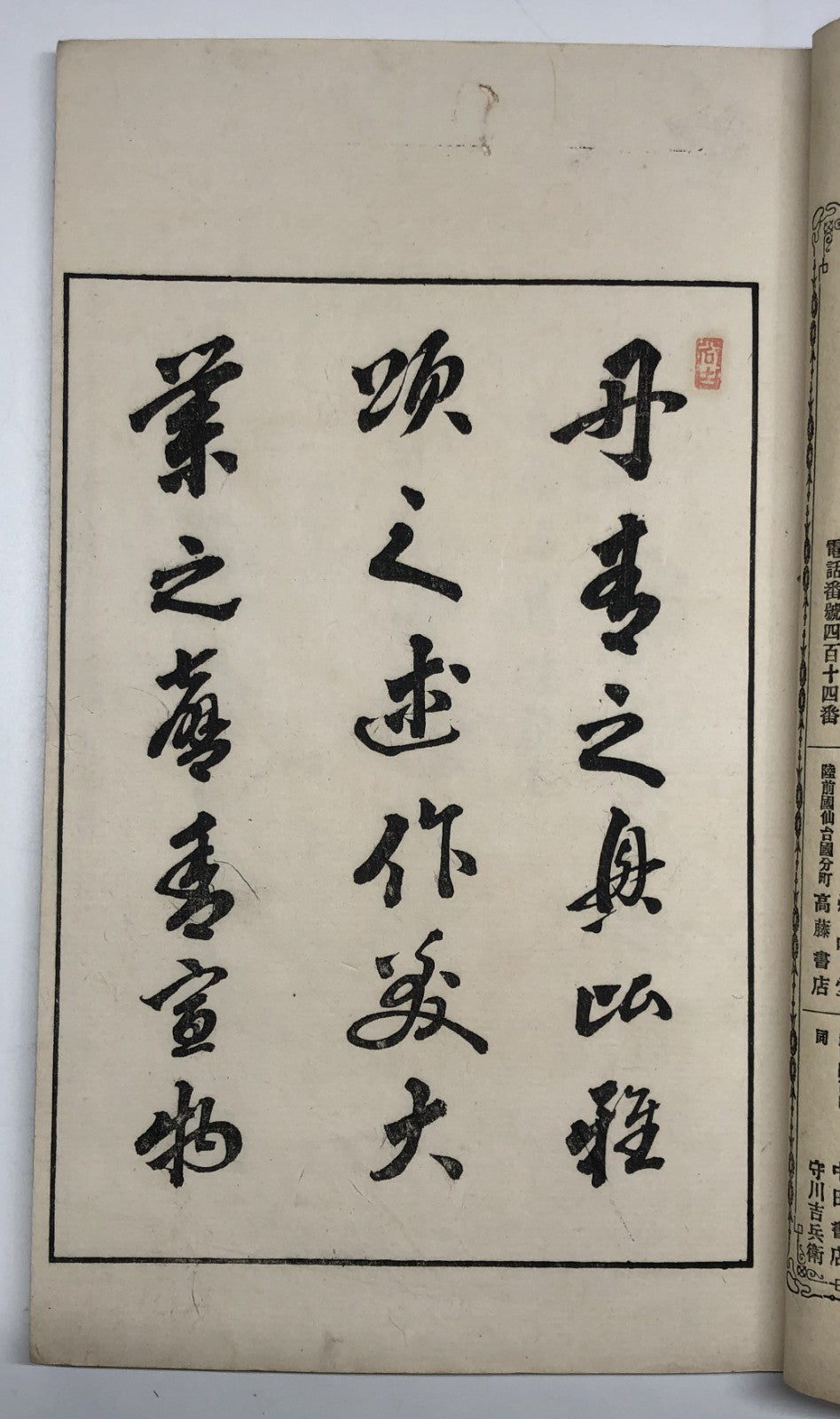 Image #8