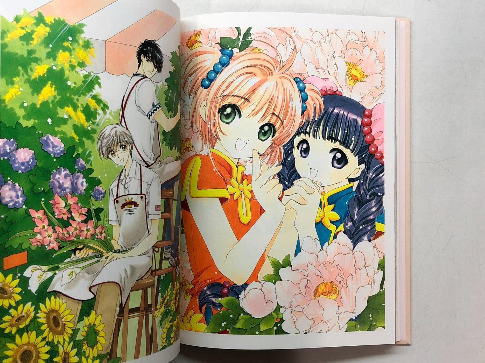 Image #12