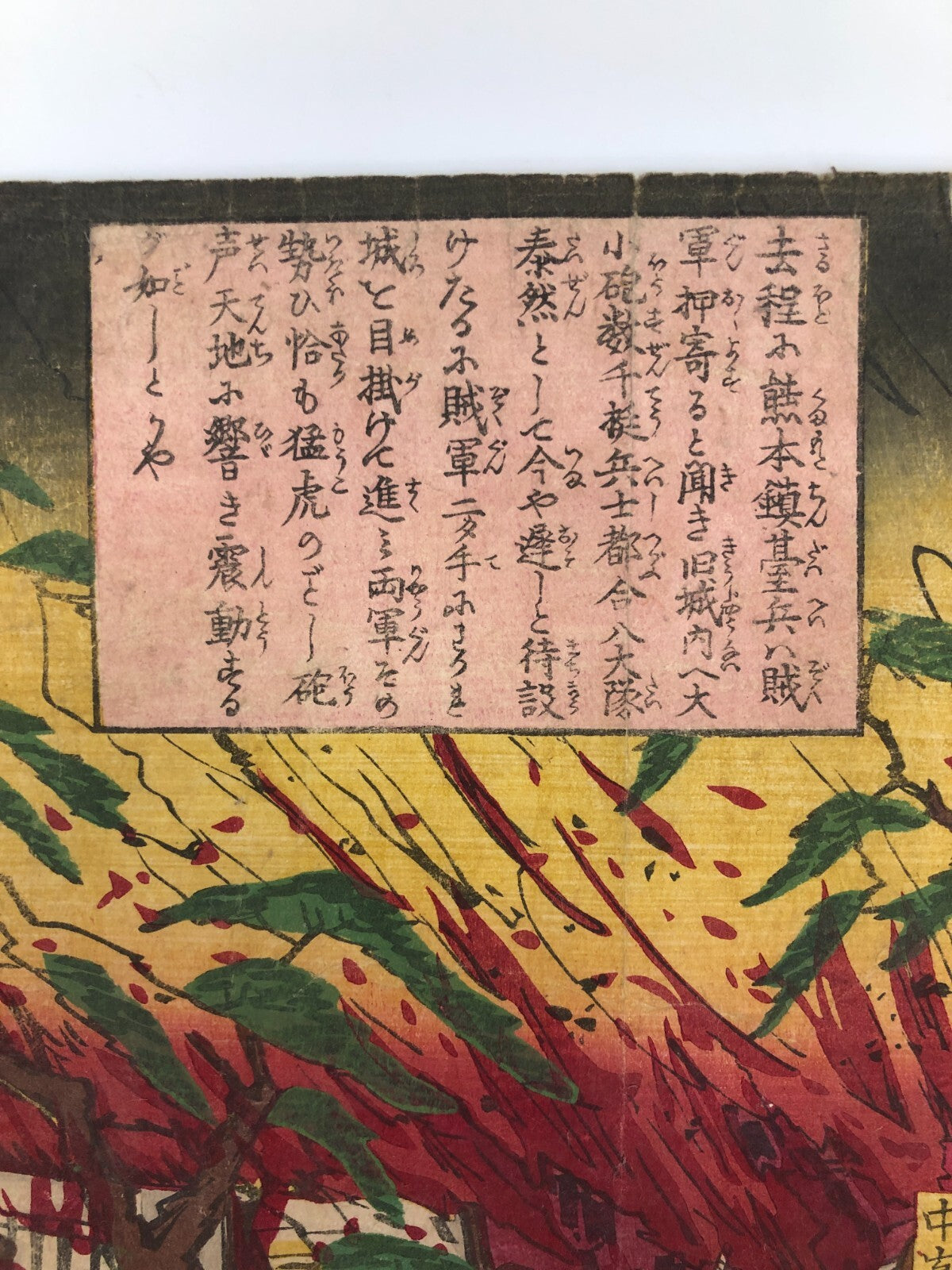Image #14
