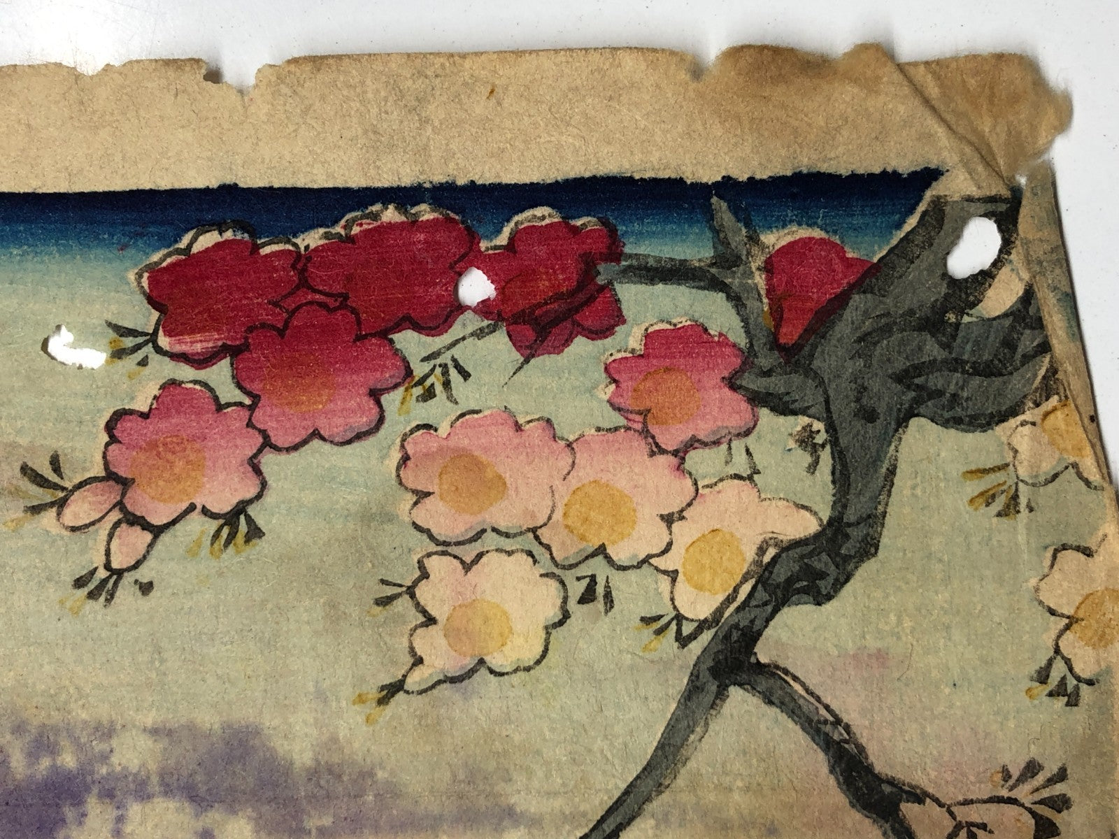 Image #13