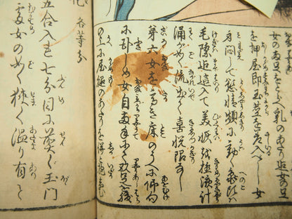 Image #12
