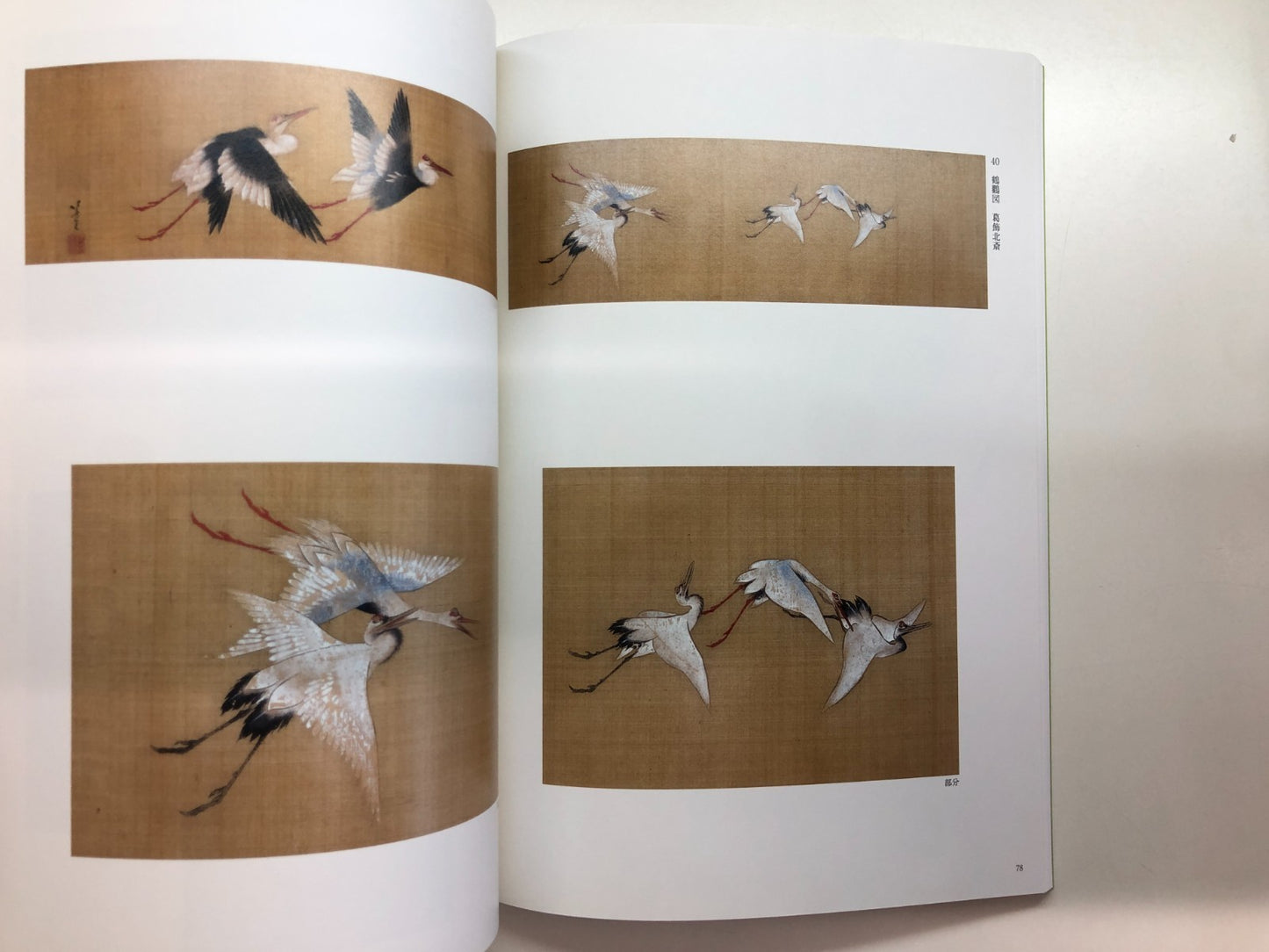Image #7