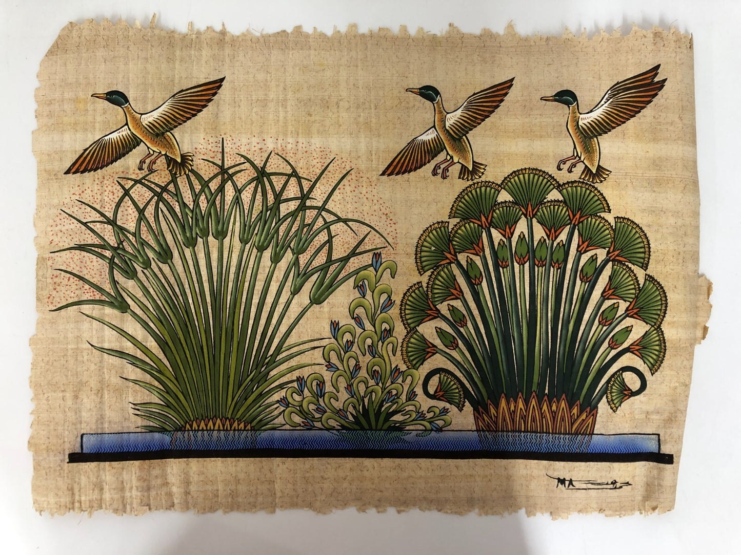 Image #2