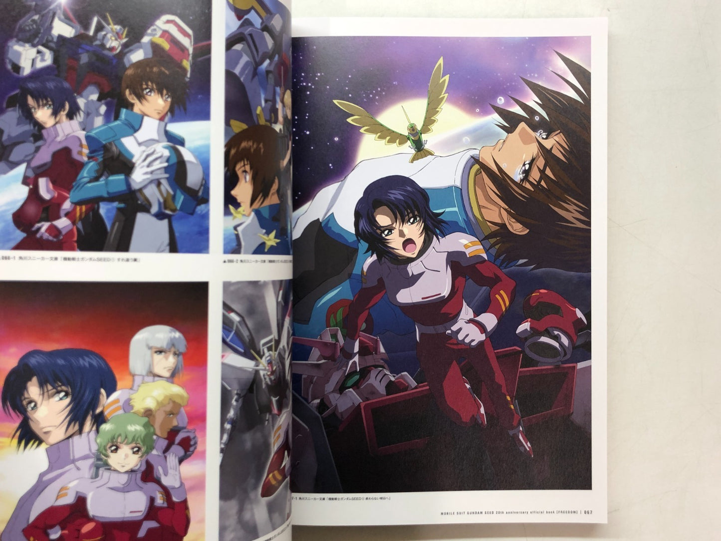 Image #11