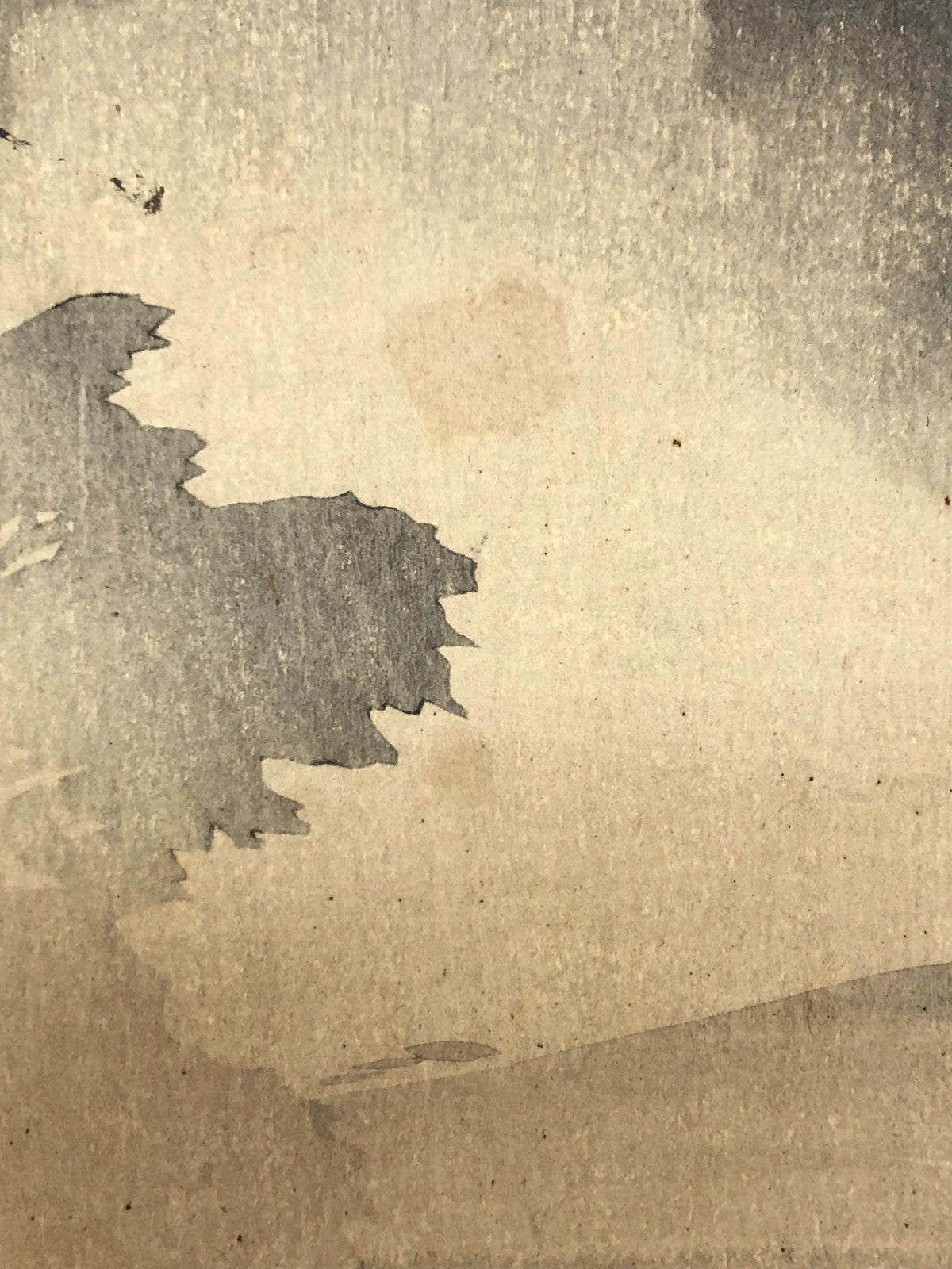 Image #11