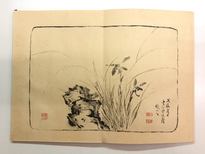 Image #8