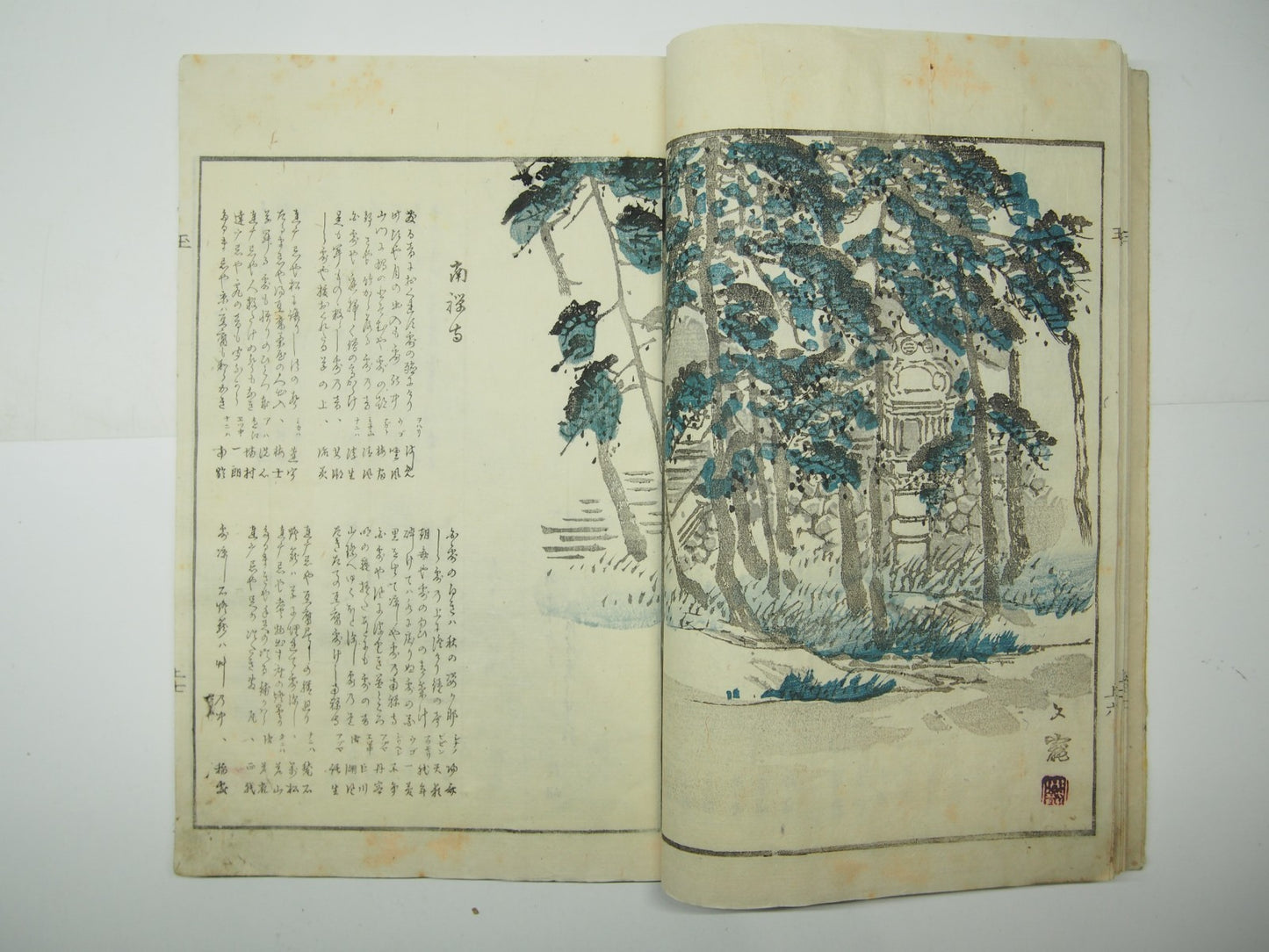 Image #11