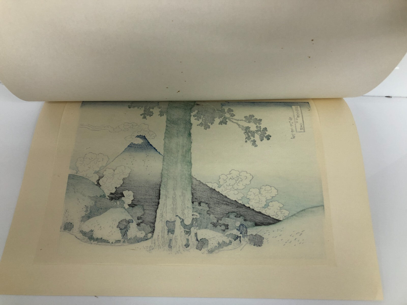 Image #7