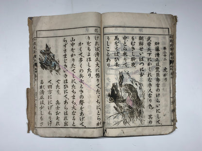 Image #14
