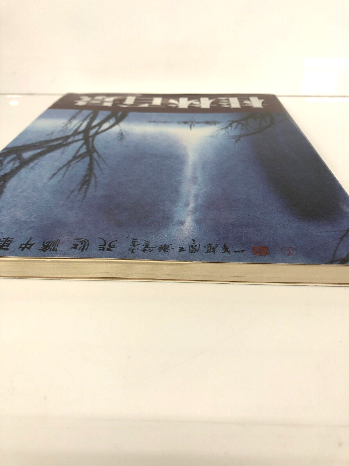 Image #2