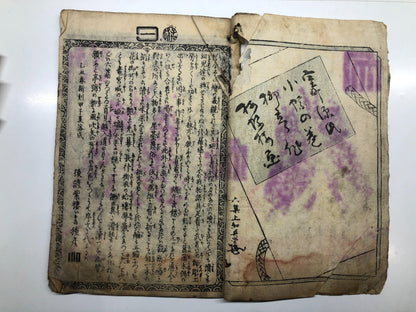 Image #22