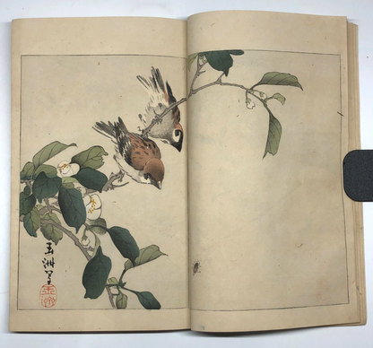 Image #12