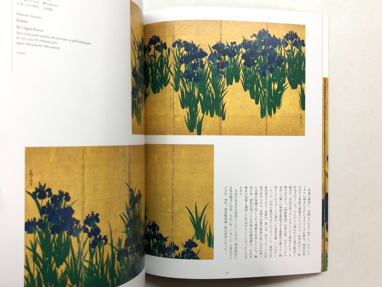 Image #5