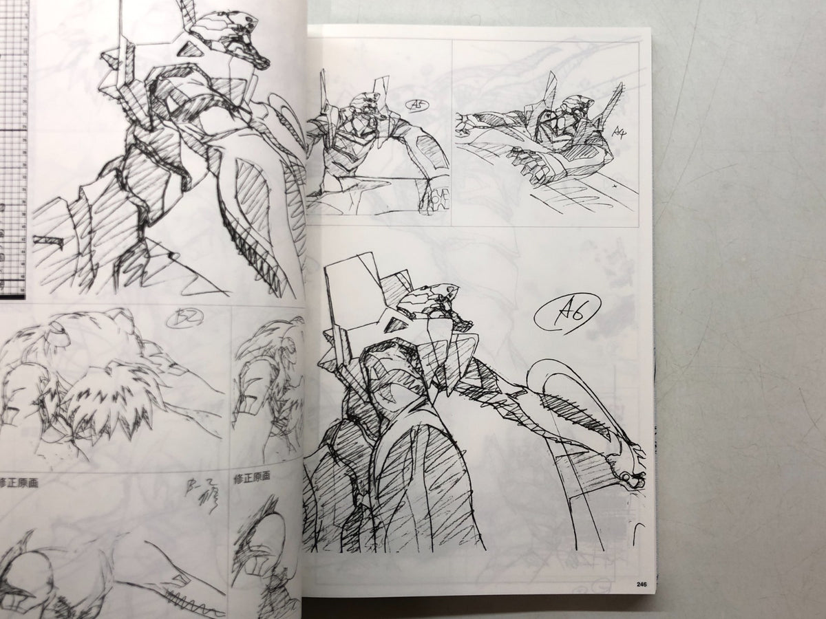 Image #8