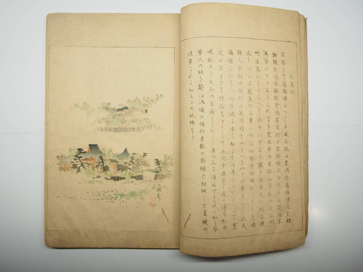 Image #7