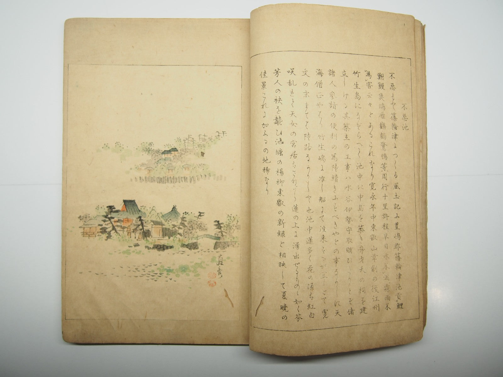 Image #7
