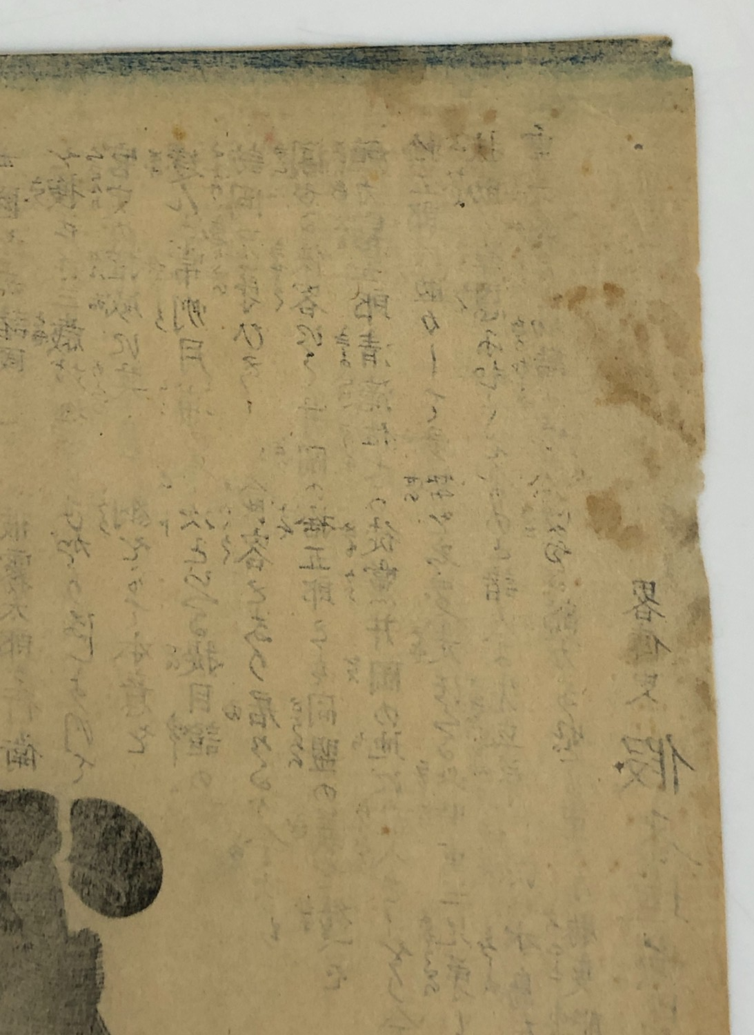 Image #12