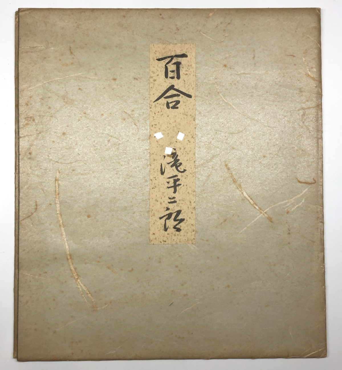 Image #8