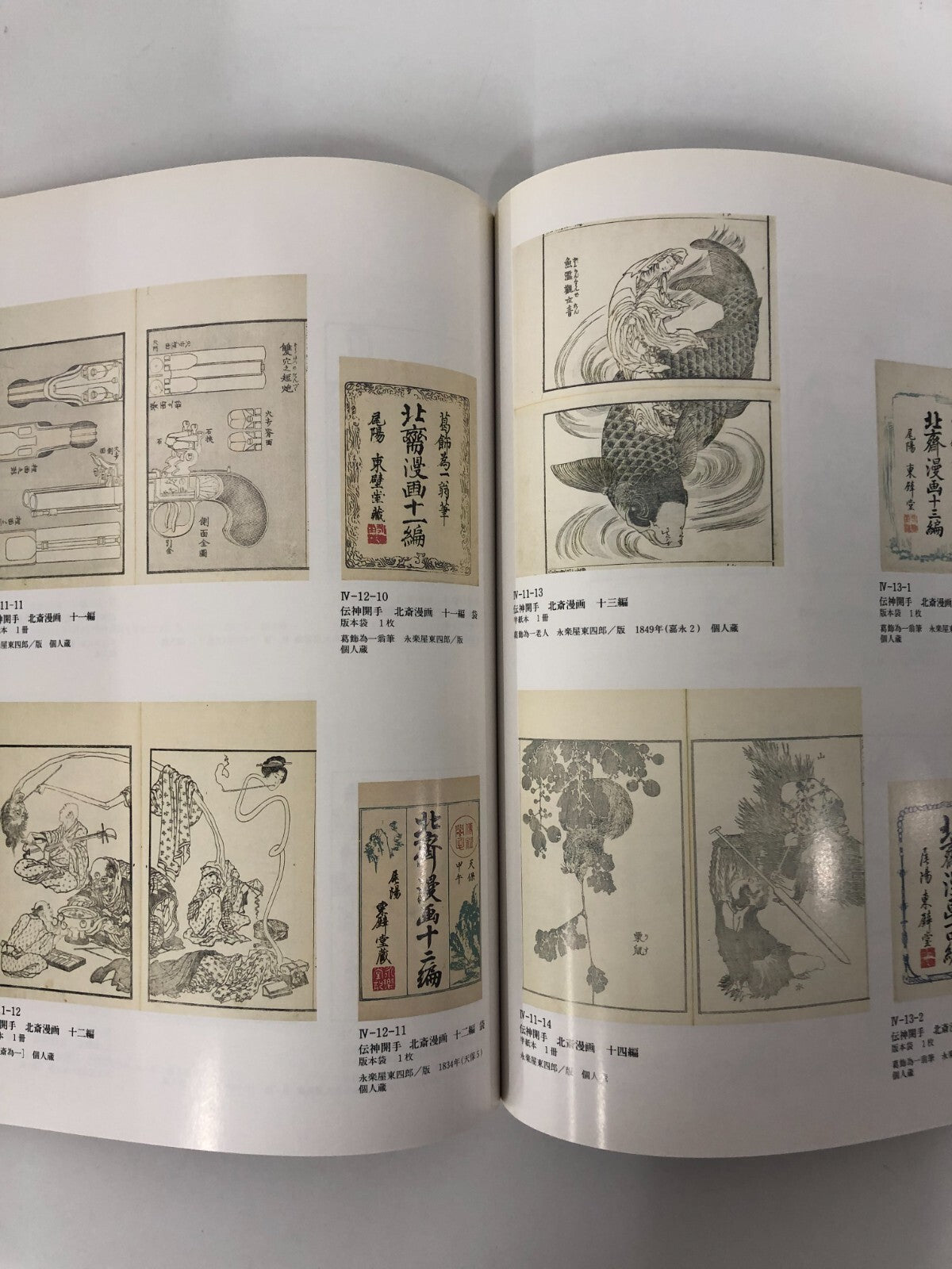 Image #5