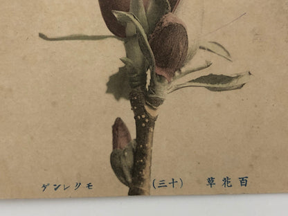 Image #13