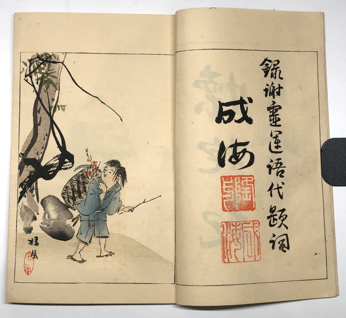 Image #6