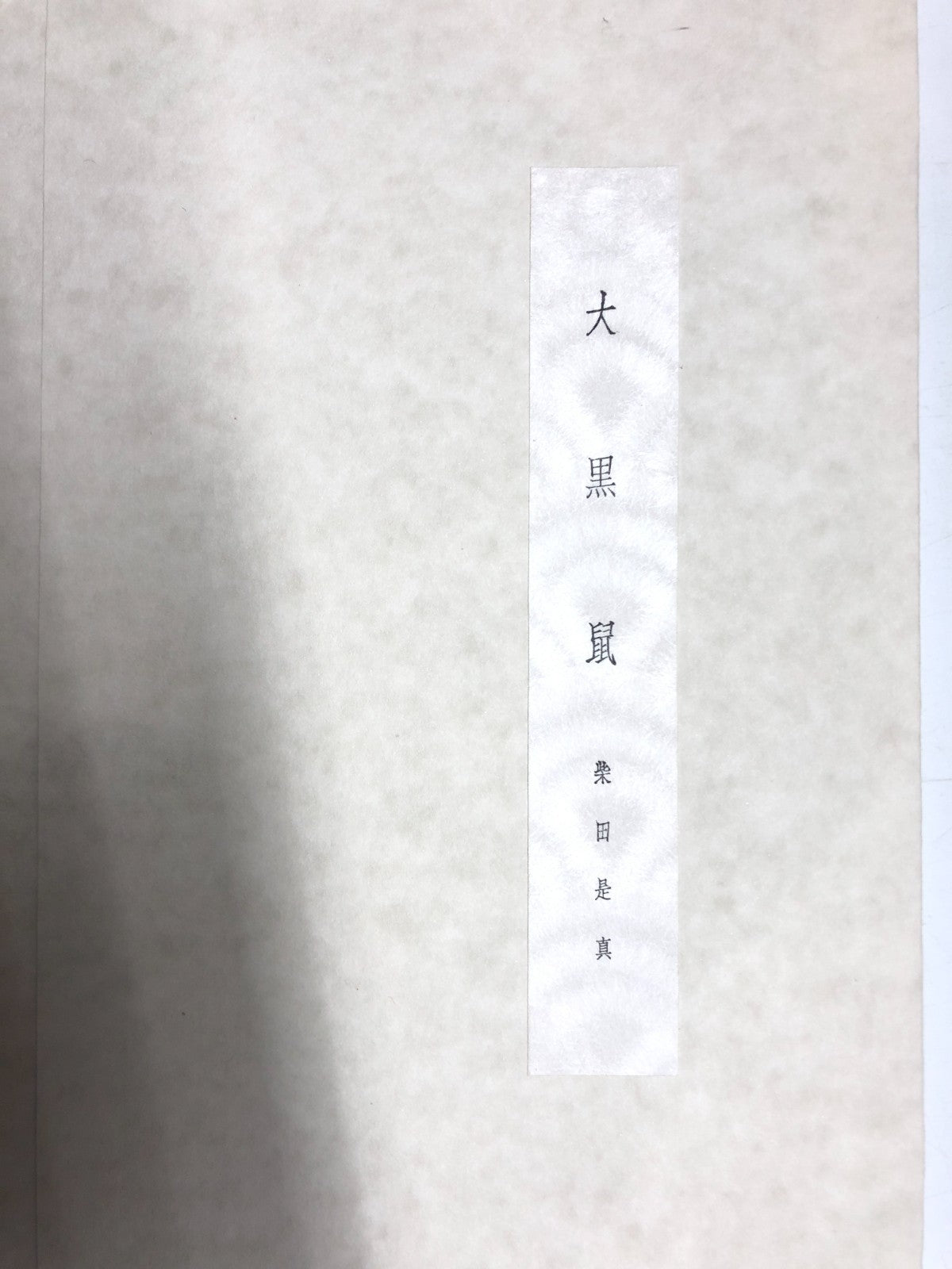 Image #3