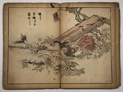 Image #16