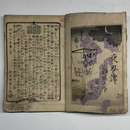 Image #7