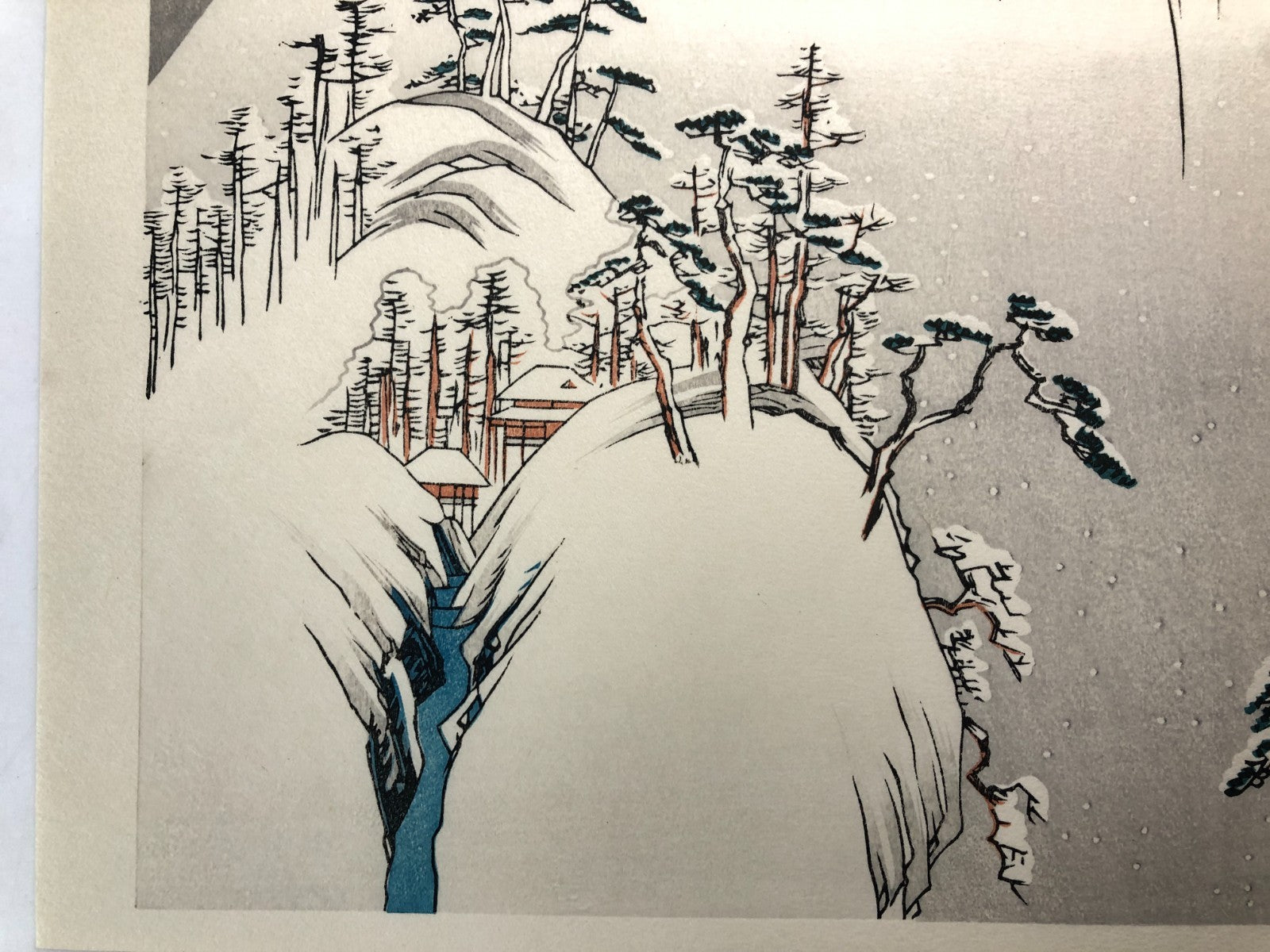 Image #12