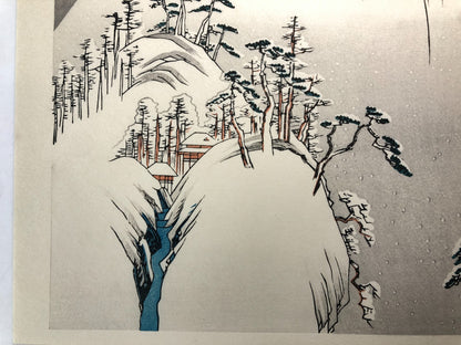 Image #12