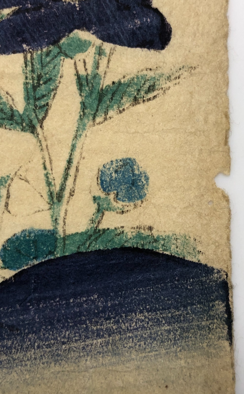 Image #13