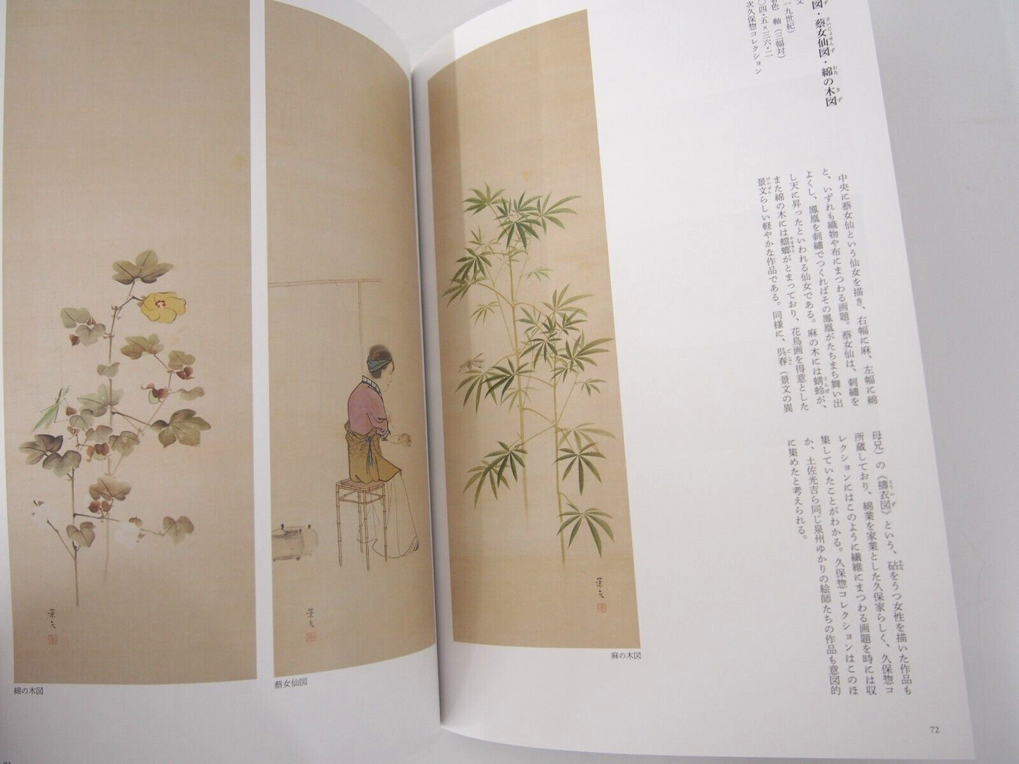 Image #5