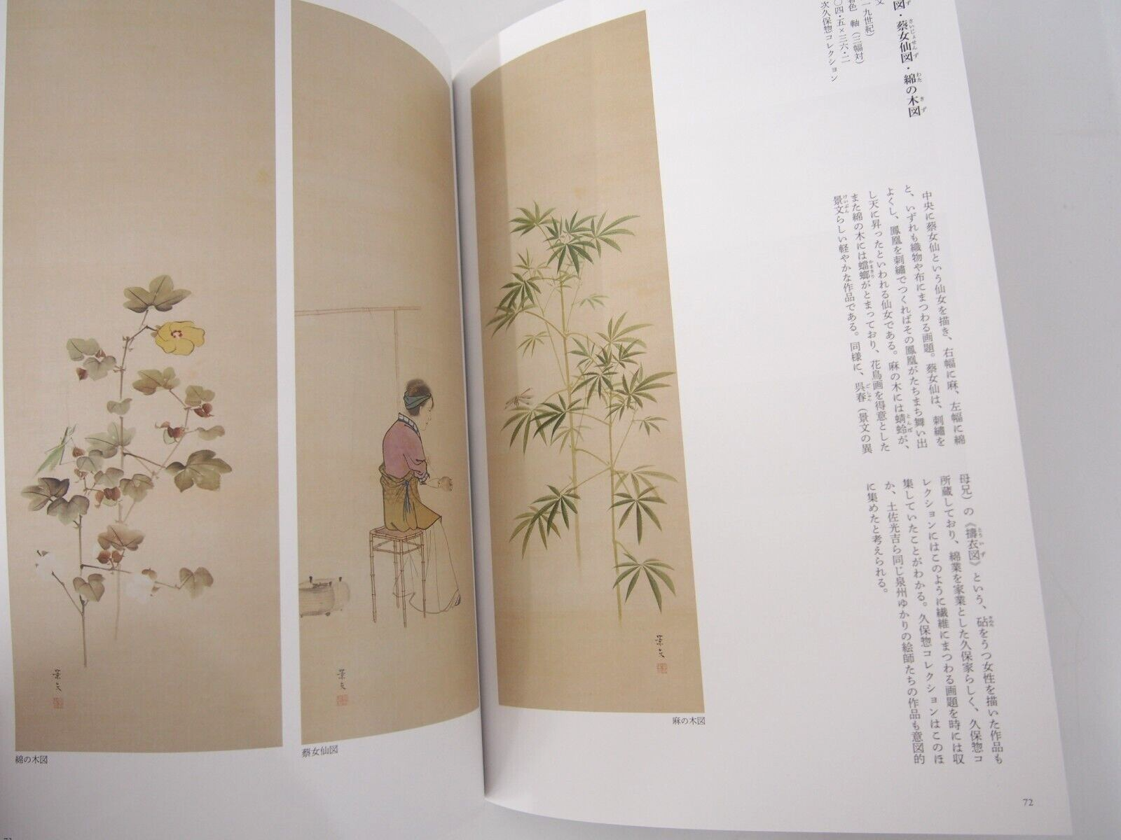 Image #5
