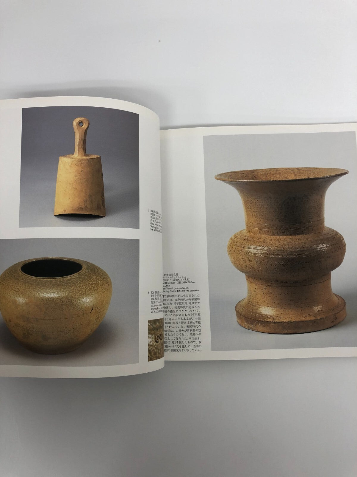 Image #5