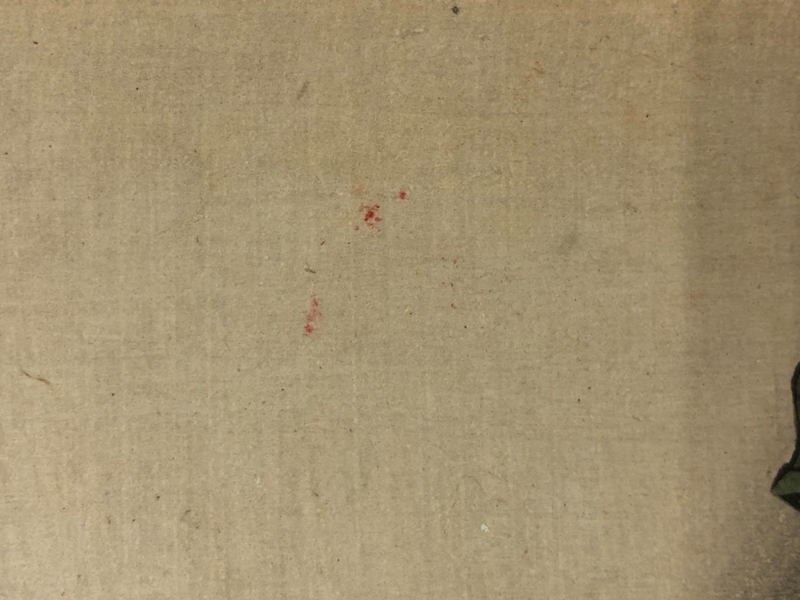 Image #14