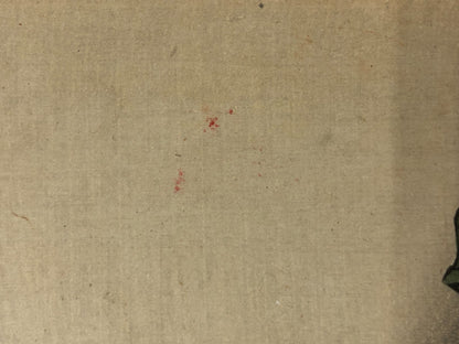 Image #14