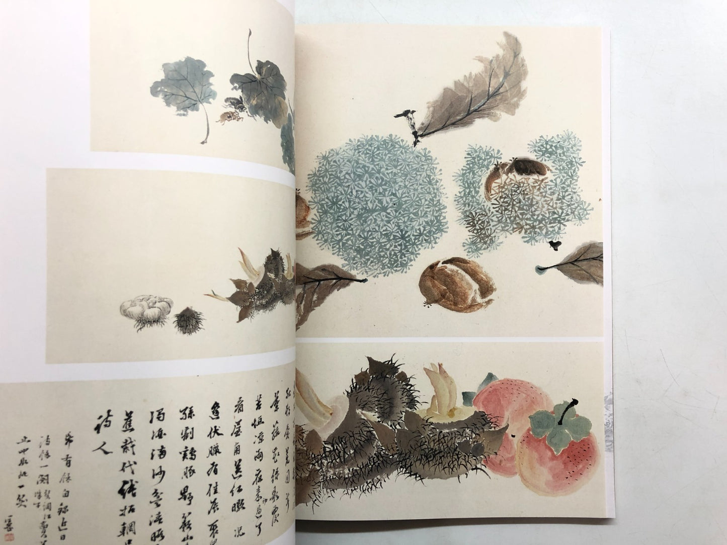 Image #8