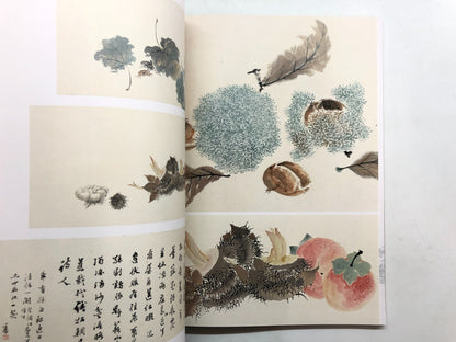 Image #8