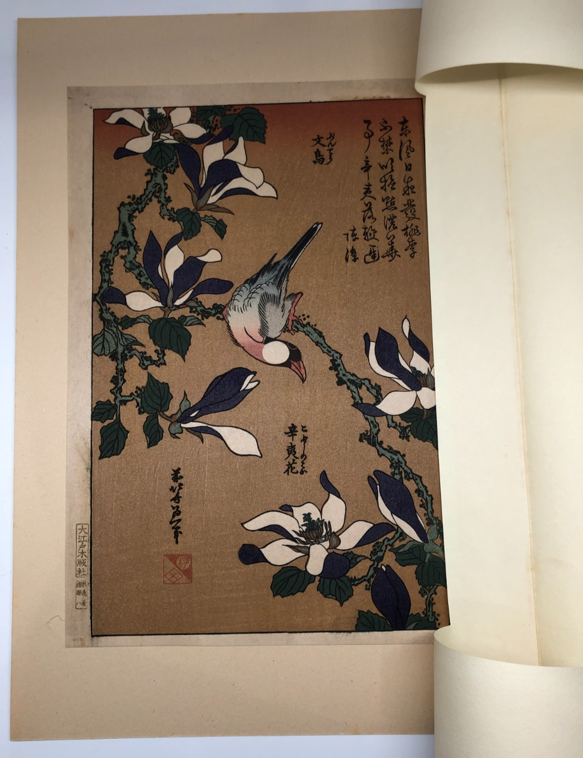 Image #5