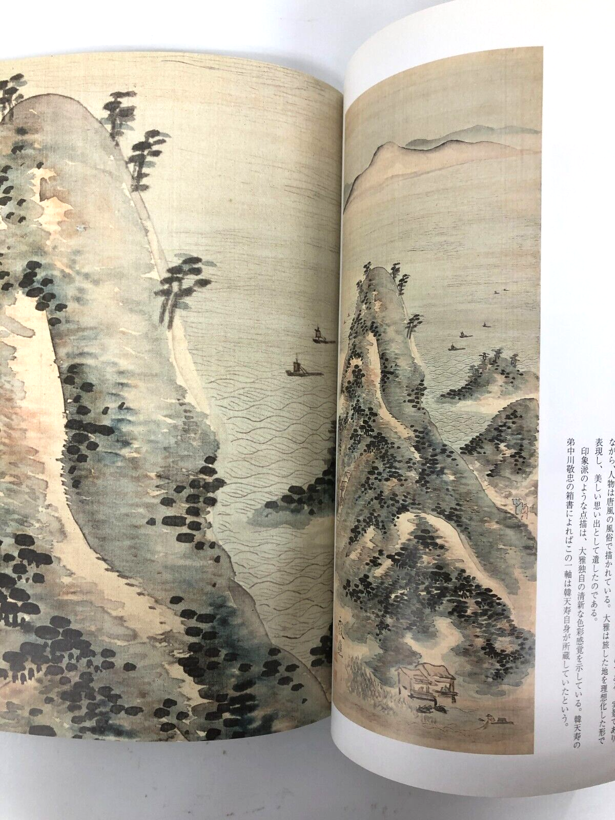 Image #5