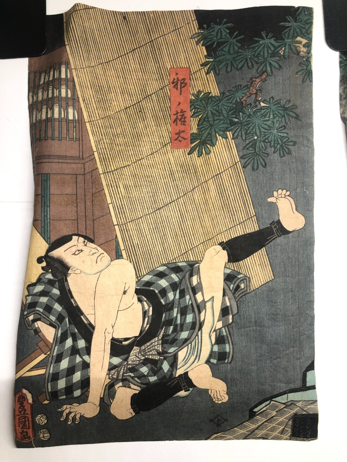 Image #4