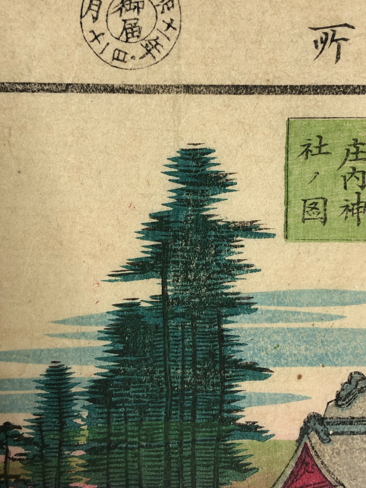 Image #12